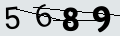 verifycode